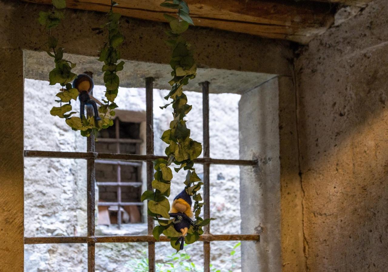 Albergue Ambrosia Huesli Rheinfelden Exterior foto